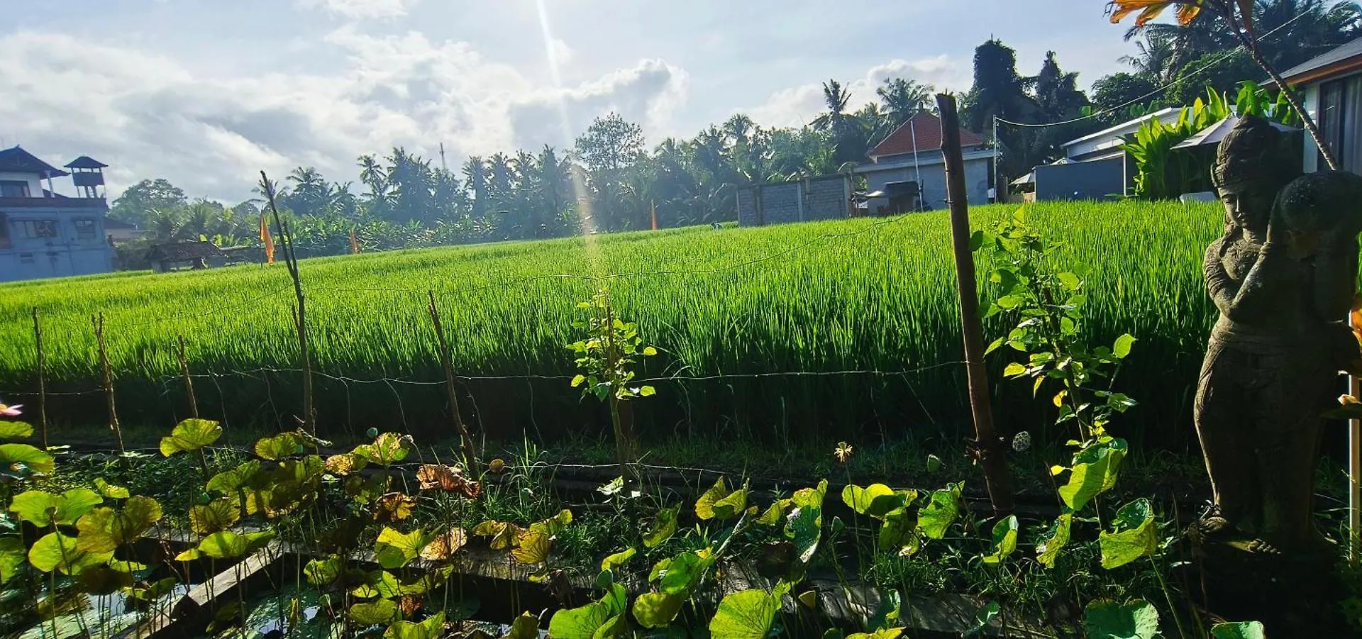 Holiday home Meininghouse Ubud